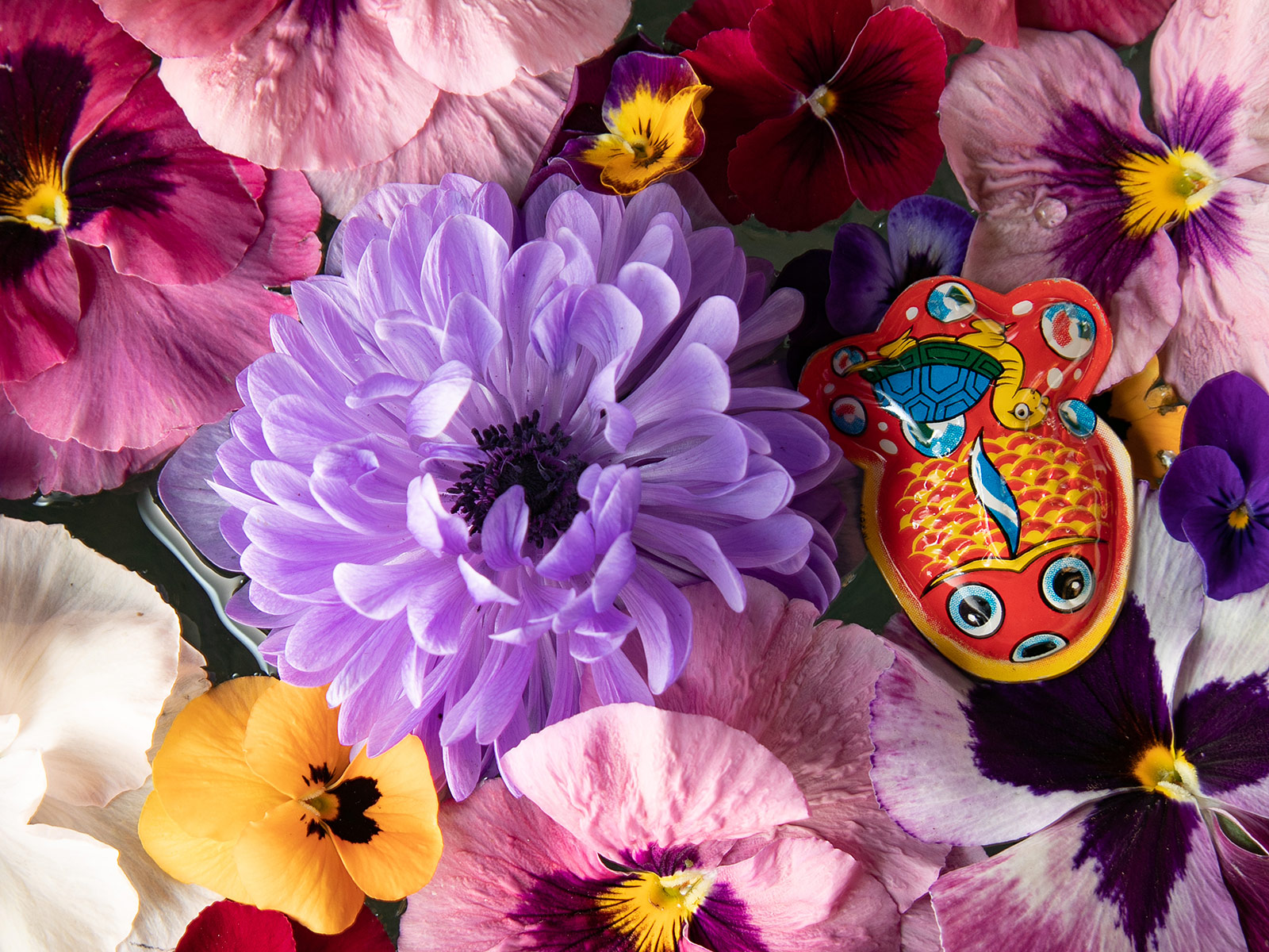 金魚亭 花手水 生花 フラワーアート フラワーアレンジメント